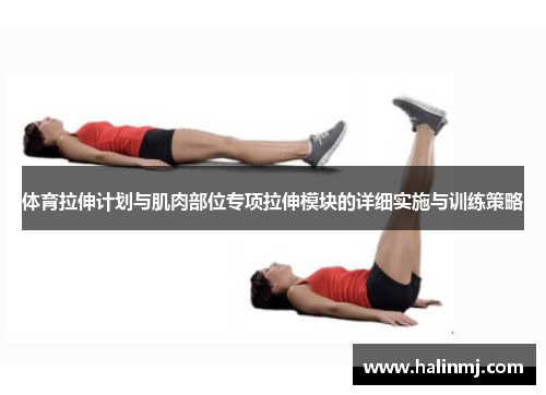 体育拉伸计划与肌肉部位专项拉伸模块的详细实施与训练策略