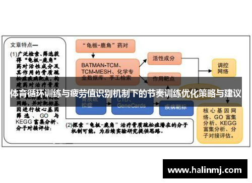 体育循环训练与疲劳值识别机制下的节奏训练优化策略与建议